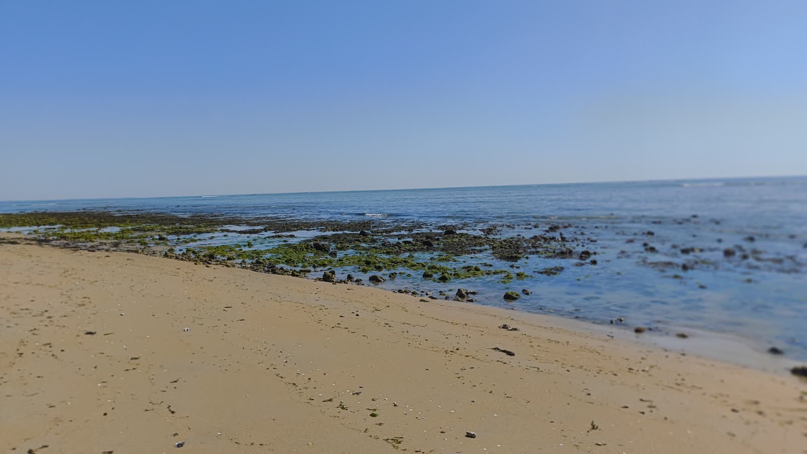 Estran rocheux à marée basse à Noirmoutier, avec sable, rochers, algues vertes et mer au loin.